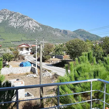 Olive 4*
