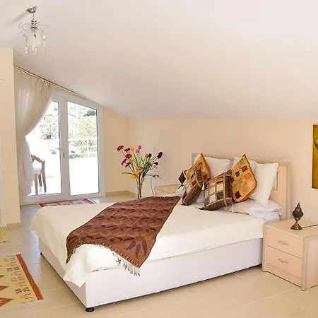 Hotel Olive 4*