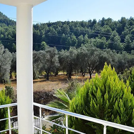Olive 4* Uzumlu (Aegean)