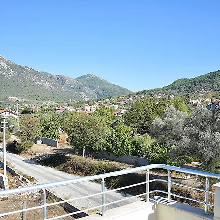 Olive Uzumlu (Aegean)