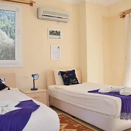 Olive Hotel 4*