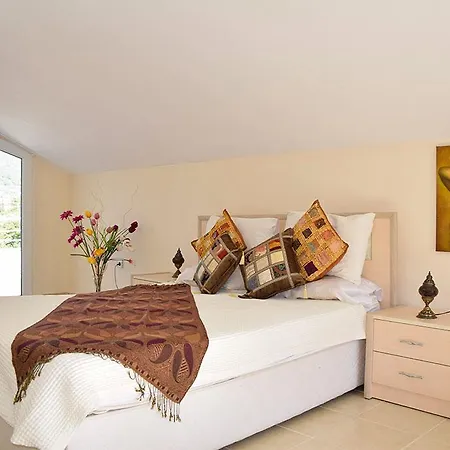 Olive Hotel 4*